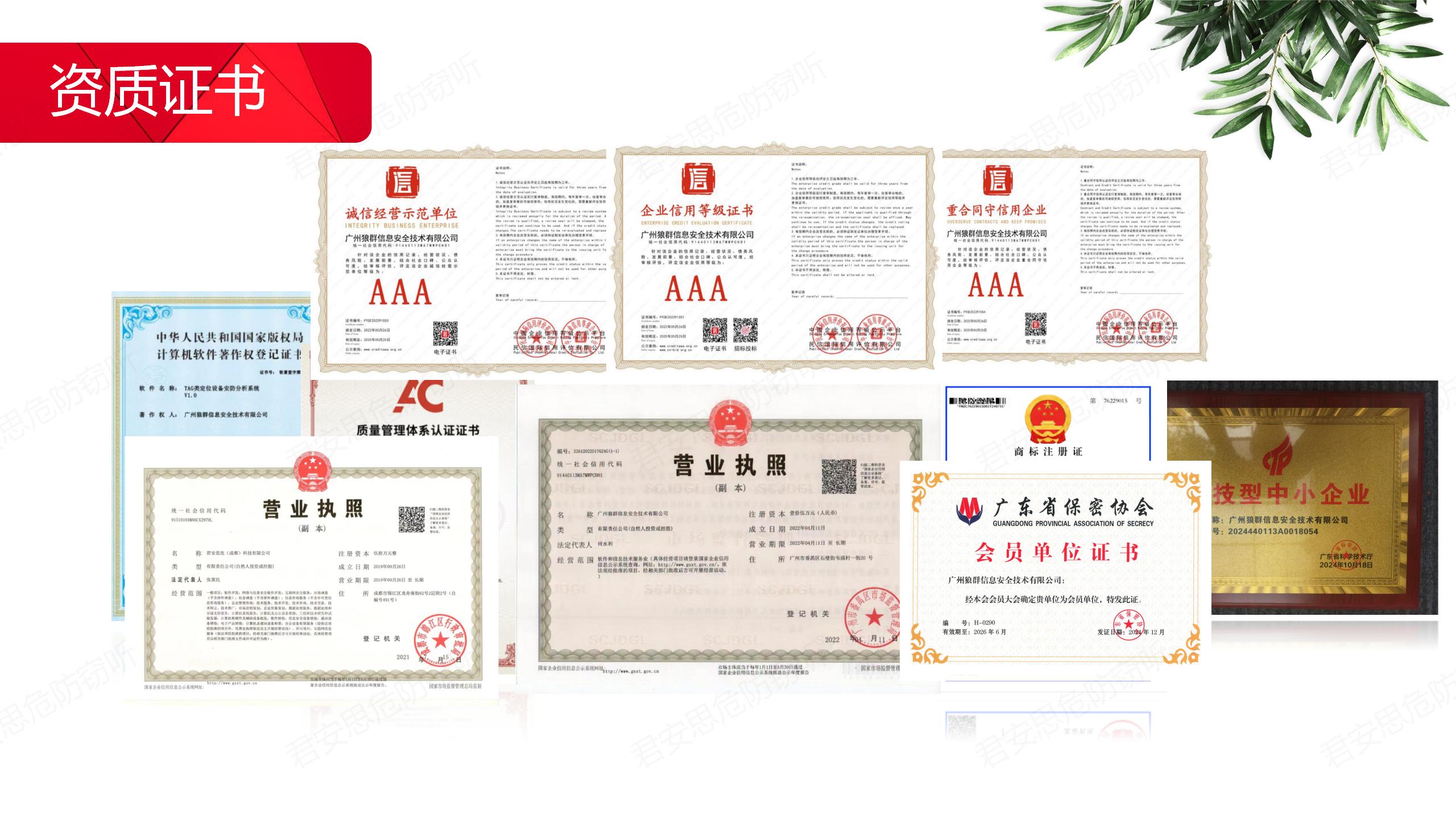 成都专业反窃听公司有哪些